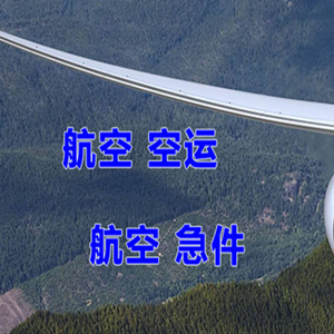 湛江吴川空运代理快递-选东方航空和上海航空